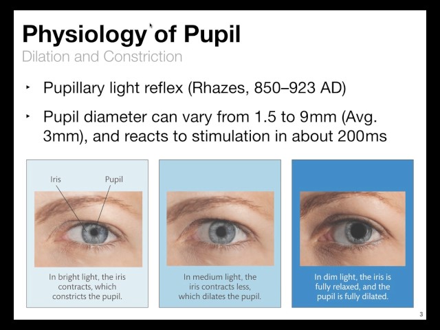 Pupil Data - Psychology and Analysis