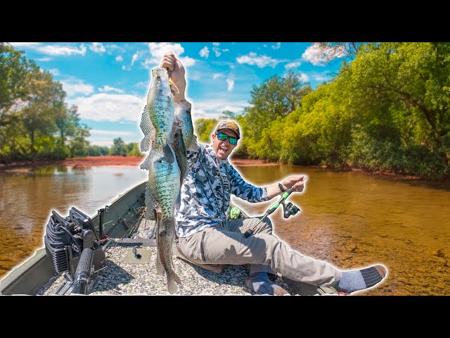 Crappie Fishing Shallow Creeks with Jigs