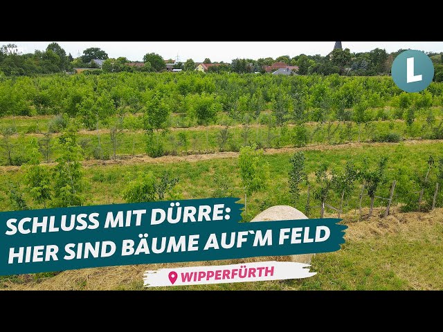 Acker der Zukunft?! So geht Agroforstwirtschaft | WDR Lokalzeit Land.Schafft.