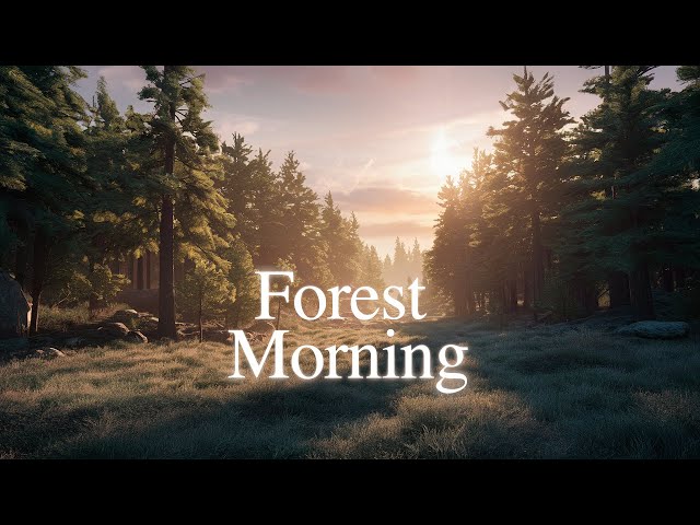 Forest Morning | Ambient Meditation Music - Calm the Mind with Positive Energy