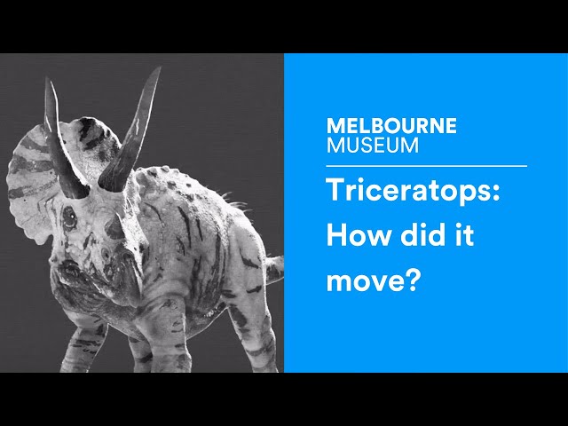 Triceratops: How did it move?