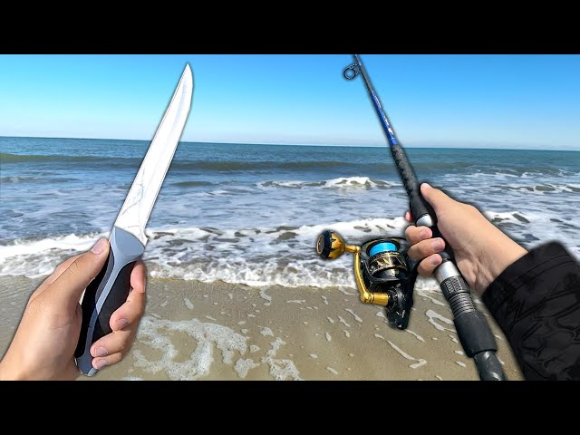 I Caught and ATE a SHARK!! (Catch and Cook)