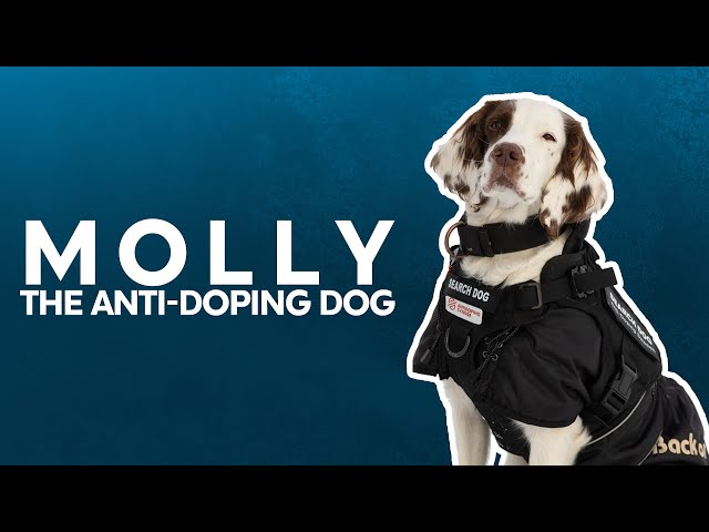 Molly, the Anti-doping Dog