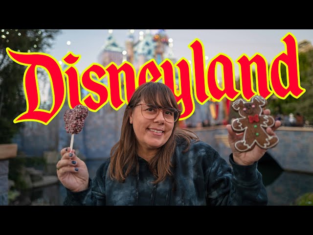 Disneyland Is Magical During The Holidays!