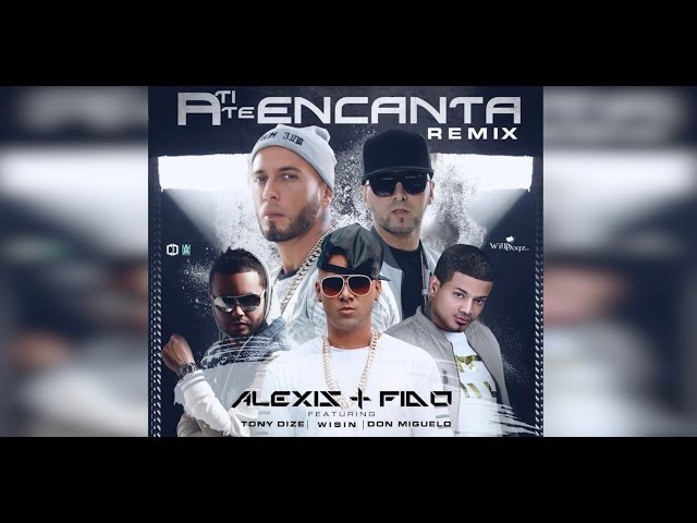 Alexis y Fido Feat Tony Dize, Wisin y Don Miguelo - A ti te encanta Remix