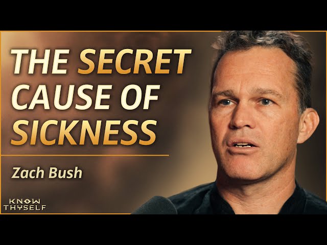 Healing The ROOT Cause Of DISEASE By Awakening Our Biology Of LIGHT | Zach Bush MD
