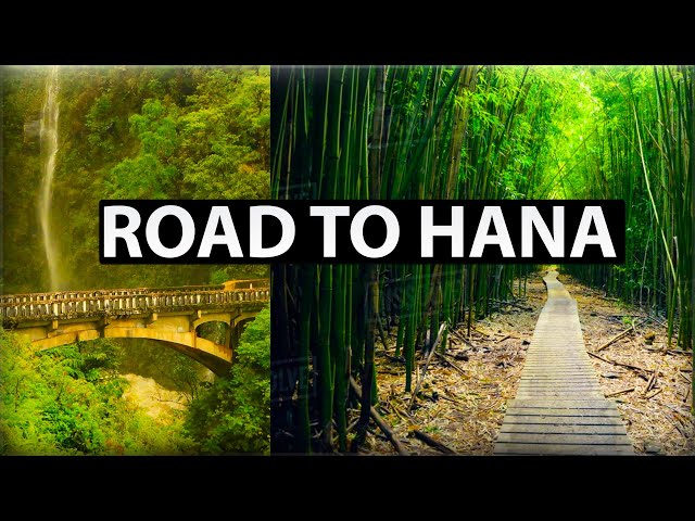 The Road To Hana Maui + Haleakala National Park Pipiwai Trail Bamboo Forest (Maui, Hawaii Travel)