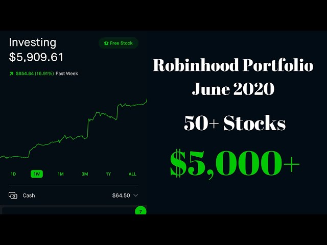 My $5000 Portfolio | Portfolio Update June 2020