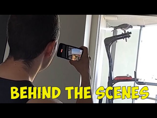 Behind The Scenes of filming my pet pigeon