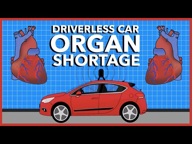 Will Driverless Cars Cause an Organ Shortage?
