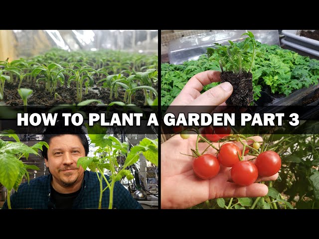 Growing Your First Garden   Episode 3 of 4