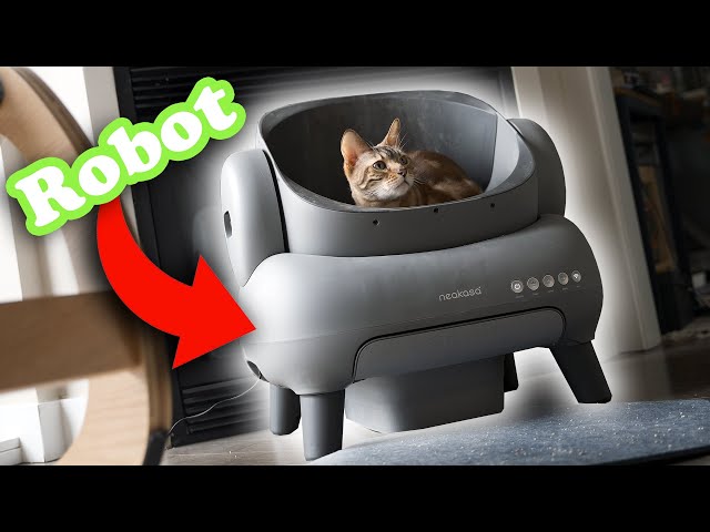 Is A Robot Cat Toilet Really Worth $500?