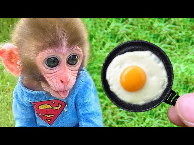 Monkey BonBon Fry Eggs and Eat Fruit with The Cute Bunny - Crew BonBon