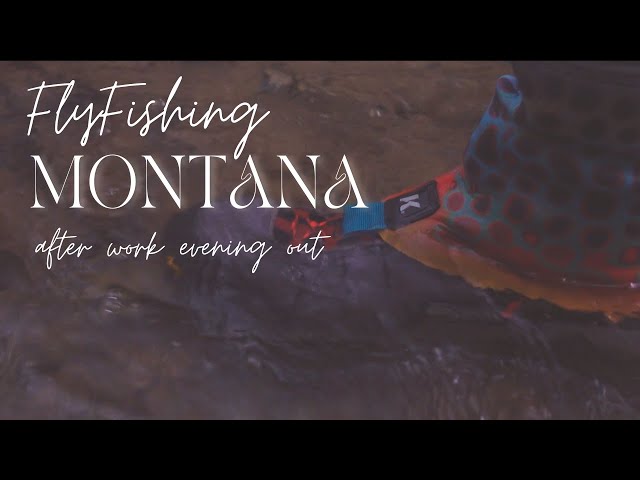 Fly Fishing Montana - An Evening Trip in South Western Montana