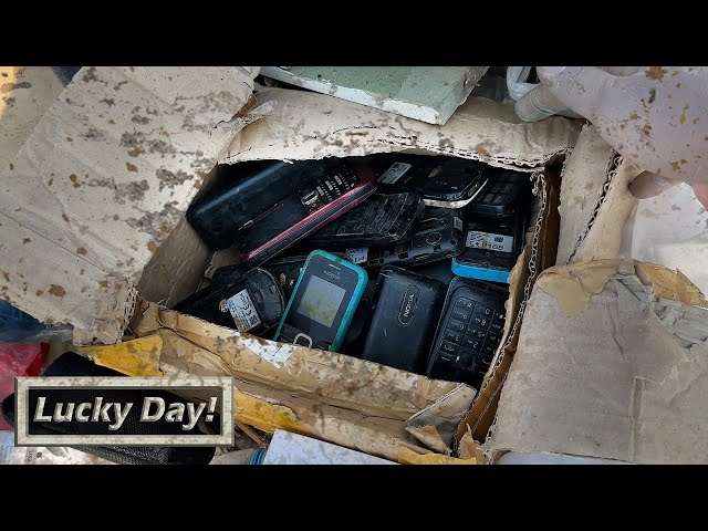Lucky Day! i Found many old Broken Nokia phones
