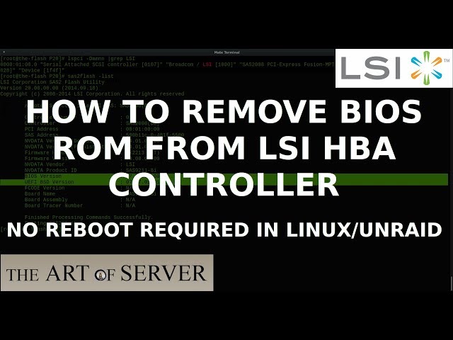 How to remove BIOS ROM from LSI card