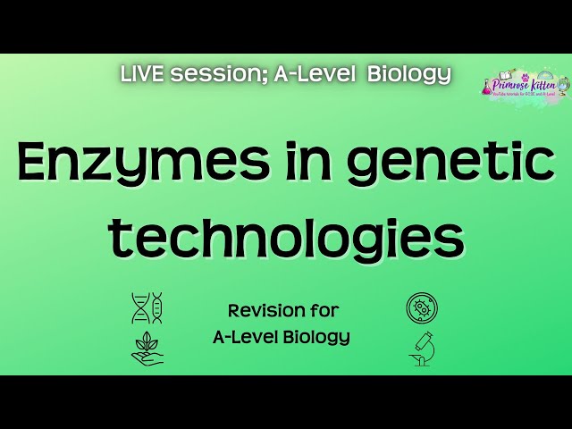 Enzymes in genetic technologies - A-Level Biology | Live Revision Session