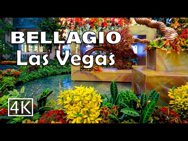 [4K] Bellagio Conservatory - Las Vegas - Walking Tour