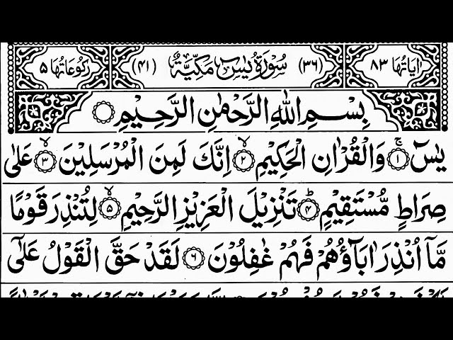 Surah Yaseen | Yasin | Episode 518 | Daily Quran Tilawat Surah Yasin Surah Rahman Surah yasin yaseen
