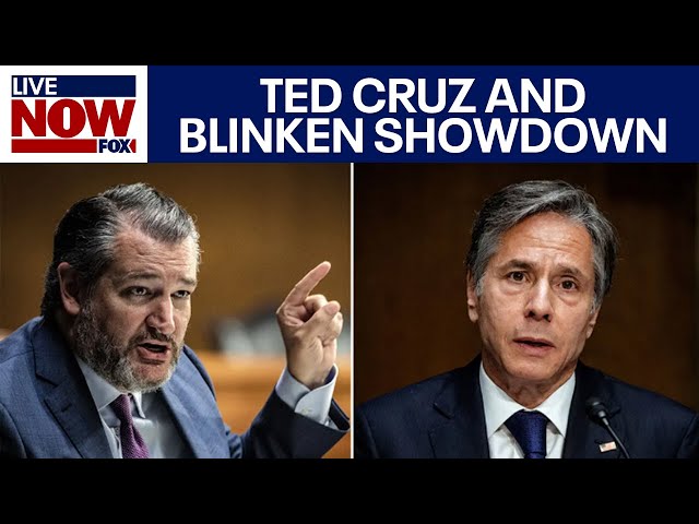 Ted Cruz GRILLS Blinken over Israel War, Hamas funding, Iran President dead | LiveNOW from FOX