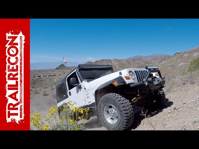 Bradshaw Trail and Red Canyon Jeep Trail - Desert Bloom