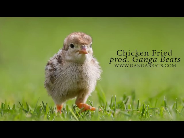 Country Hip Hop Instrumental with HOOK ''Chicken Fried'' prod. Ganga Beats