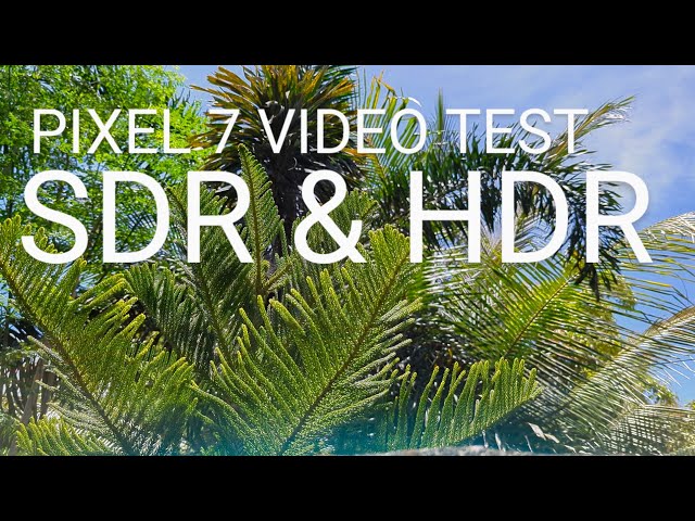 Google Pixel 7 4K Video Test: SDR & HDR Video