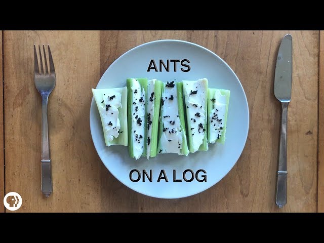 The Case For Eating Bugs