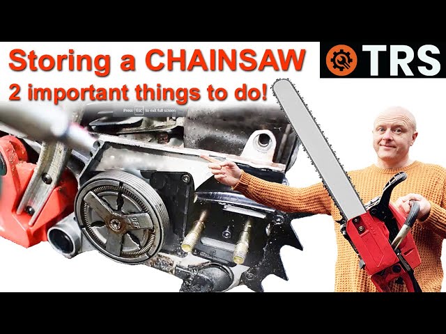 How to Store a CHAINSAW  (2 Important things you must do first)