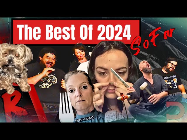 The Best Of 2024 (so far) - @DailyDoseOfInternet | RENEGADES REACT