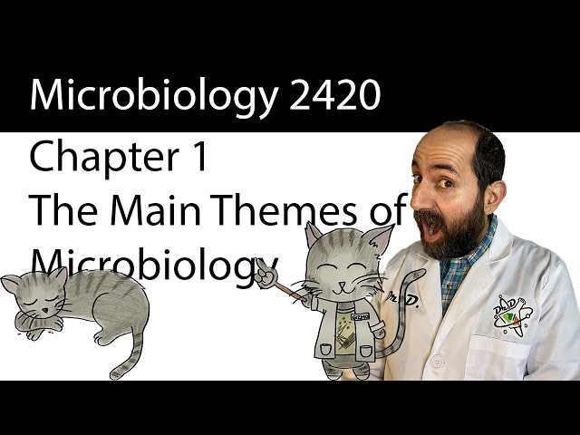 Chapter 1 – The Main Themes of Microbiology