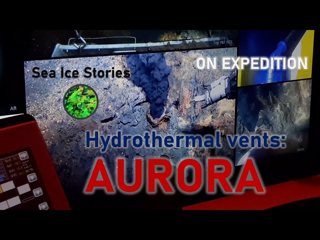 First dive at AURORA hydrothermal vent field