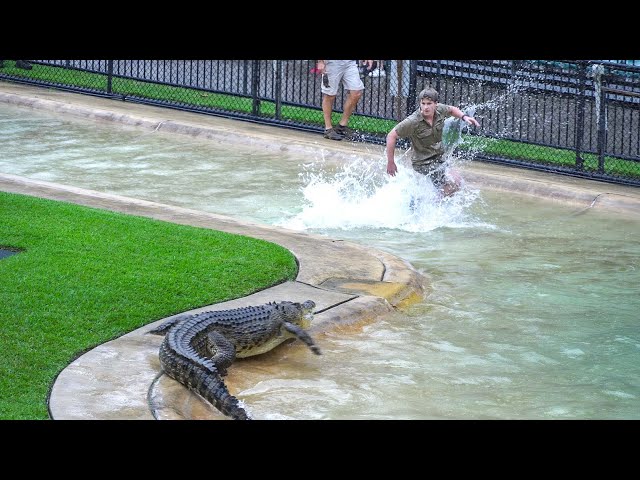 Robert Irwin with Scrappa the fastest Croc at Australia Zoo