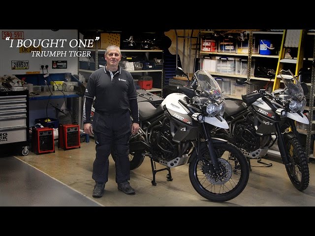 Triumph Tiger 800 XCx - I Bought One | Kevin Sanders