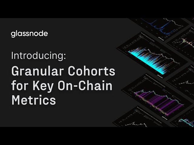 Introducing: Granular Cohorts for Key On-Chain Metrics