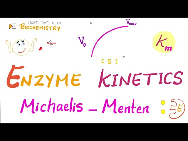 Michaelis-Menten Equation & Enzyme Kinetics - Biochemistry Series