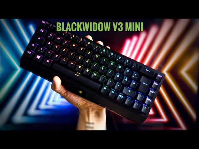 Blackwidow v3 Mini Hyperspeed Review - Ist sie wirklich 190€ wert?! (Deutsch)