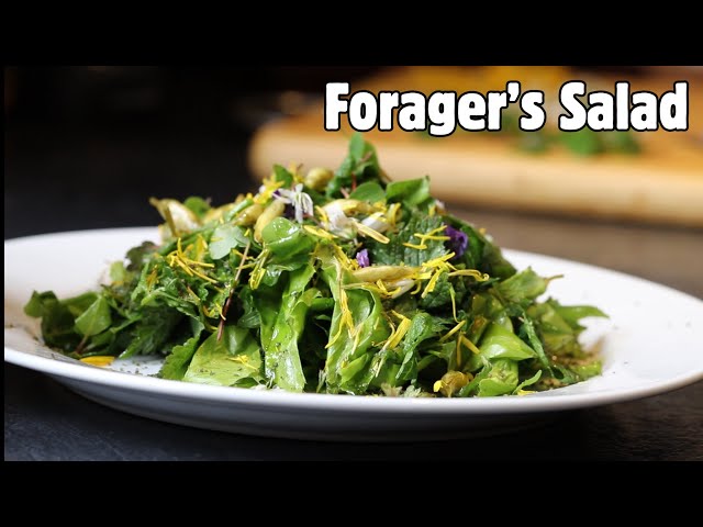 Forager’s Salad