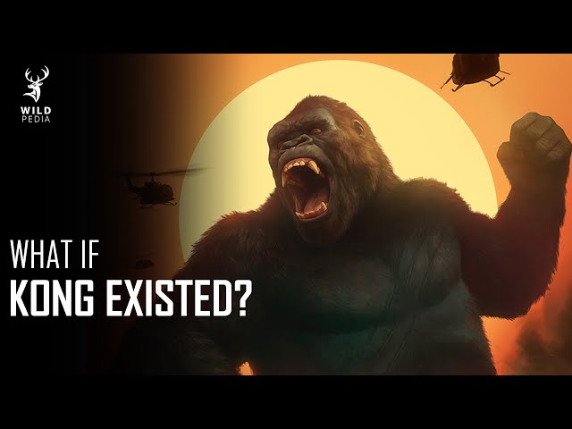 What If King Kong Existed?