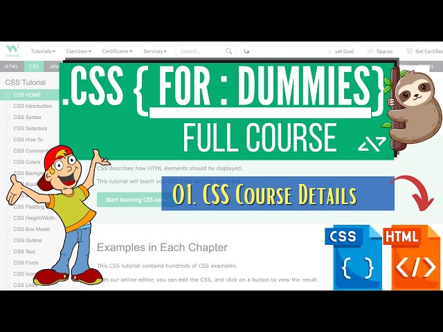 CSS for Dummies : 01  What is this CSSS Course About | CSS for Absolute Beginners full Course