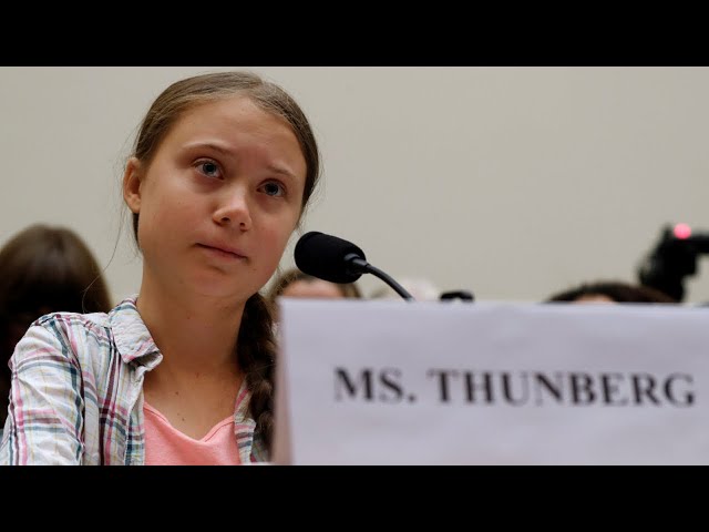 Greta Thunberg ‘disgraced herself’ over pro-Palestine protest