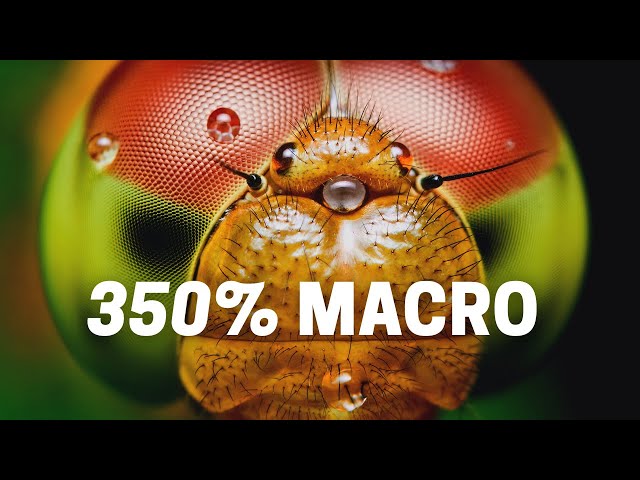 How To Get 350% Macro With Micro Four Thirds