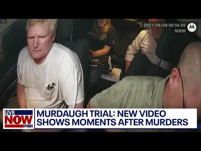 Murdaugh trial: 'That's when you decided to lie?' prosecutors ask Alex Murdaugh | LiveNOW from FOX
