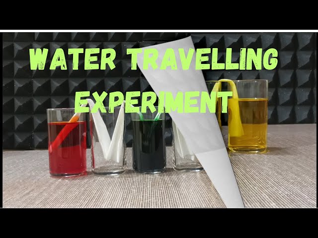 Travelling of Colored Water Experiment | Amazing Science