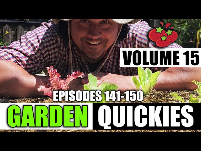 Garden Quickies Volume 15 - Episodes 141 to 150