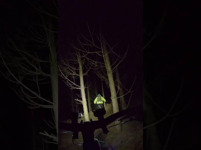 Night Riders on Cannock Chase
