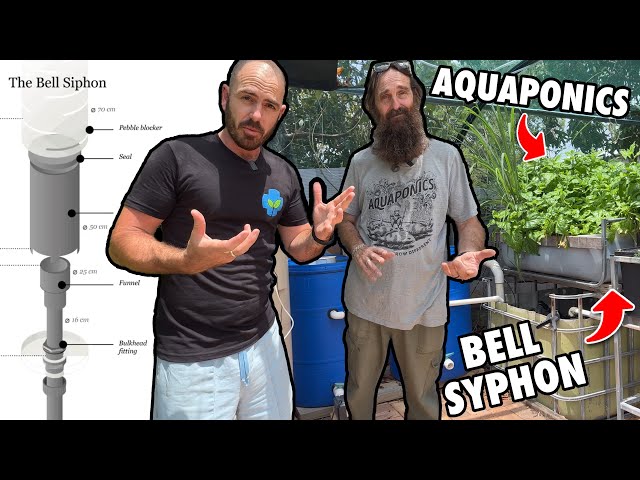 Bell Syphons Explained + Aquaponic System Tour: Feat. Rob Bob 🐟♻️🌱