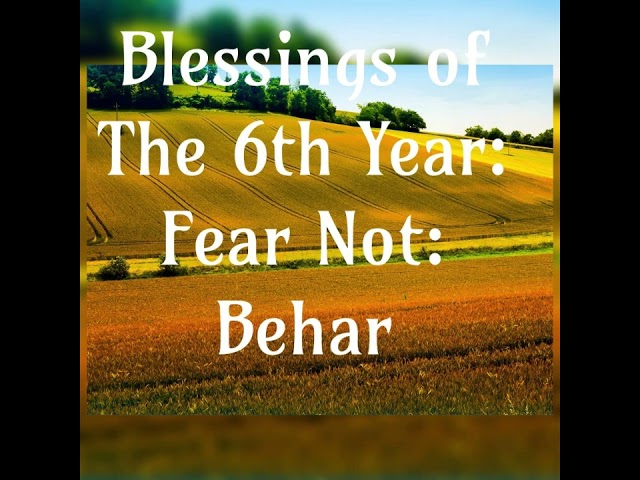 Blessings Of The 6th Year | Do Not Fear Do Not Doubt | Behar | Vayikra 5784