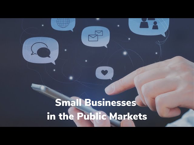 Virtual Panel Discussion: Small Businesses in the Public Markets