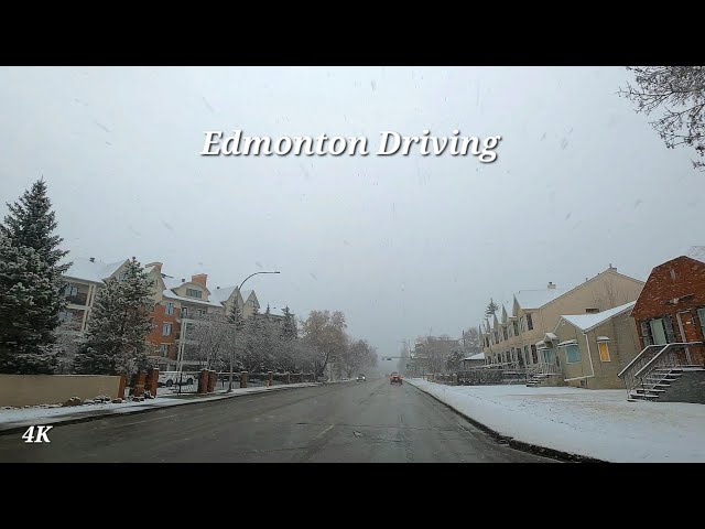 Spring Season Snow Fall, Edmonton, Alberta, Canada April 2024